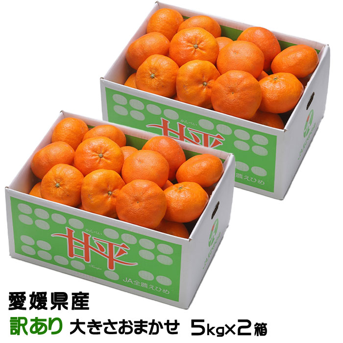 楽天市場】甘平 10kgの通販