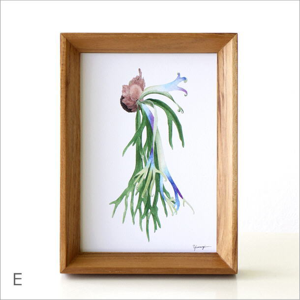 楽天市場】アートパネル おしゃれ ポストカード アートフレーム