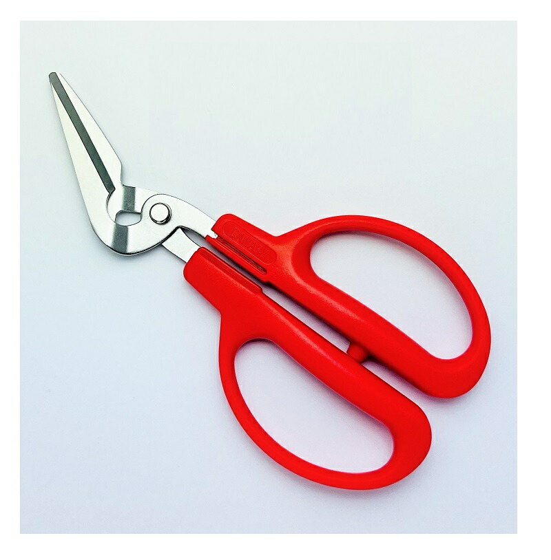 楽天市場】【兼進作】盆栽鋏 ステンレス鋼 全長180mm No.831◇盆栽