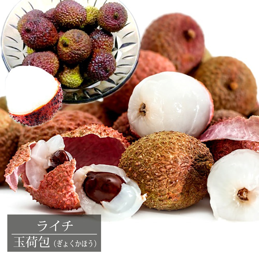 楽天市場】ライチ 【玉荷包】 4.5号ポット苗 沖縄県産 : 苗木部 by