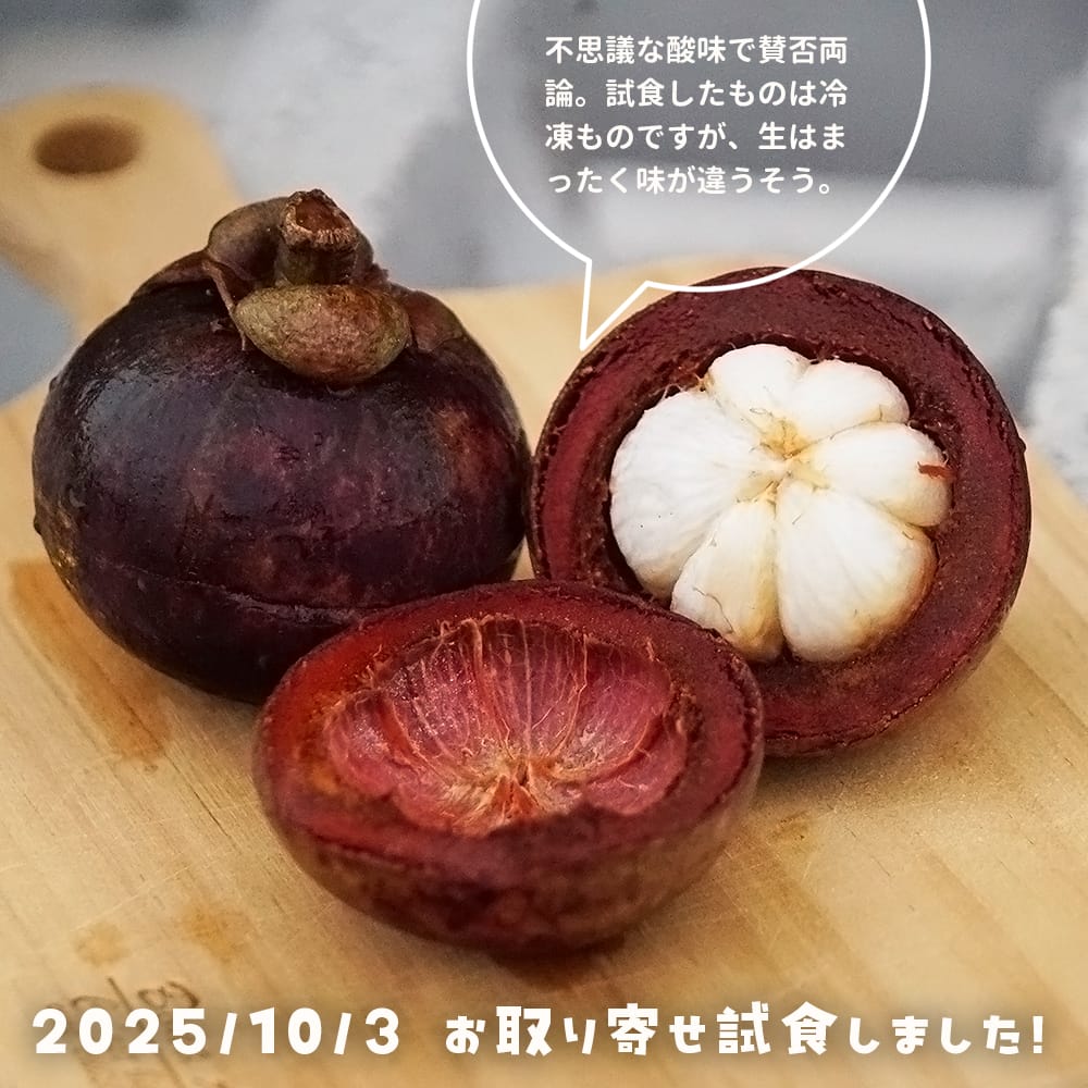 楽天市場】【マンゴスチン】 果物の女王 10年生接木大苗 10号鉢植え