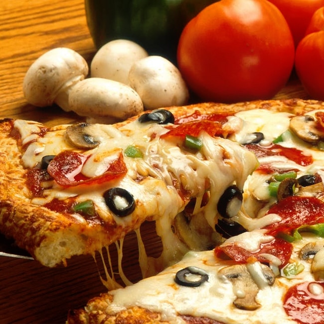 楽天市場】【ジャンボカラマタ】 オリーブの木 2年生接木苗 : 苗木部