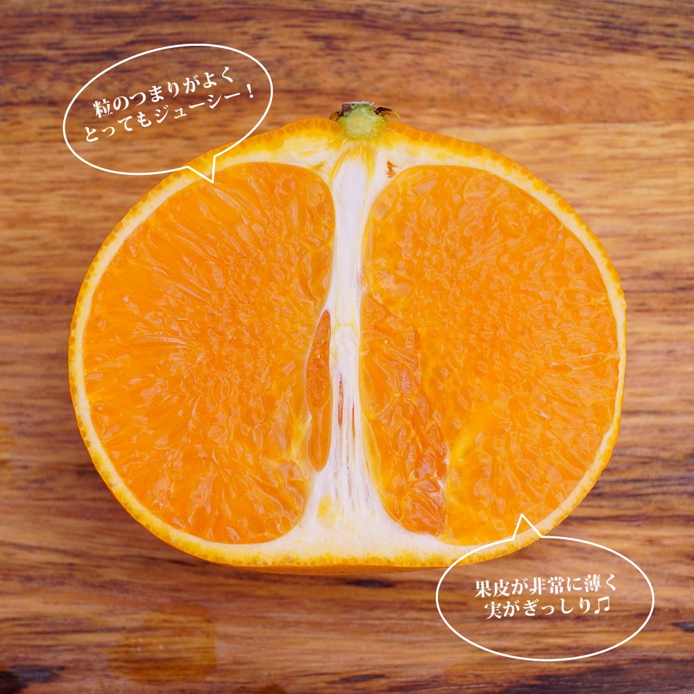 楽天市場】【せとか】 みかん 2年生接木苗 登録品種・品種登録 : 苗木