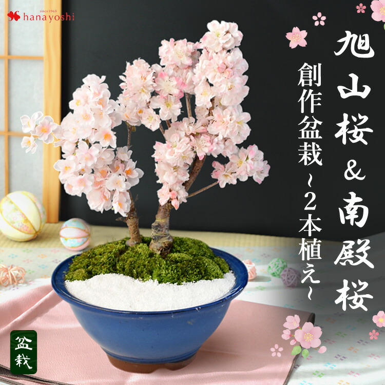 楽天市場】桜 盆栽 造花の通販