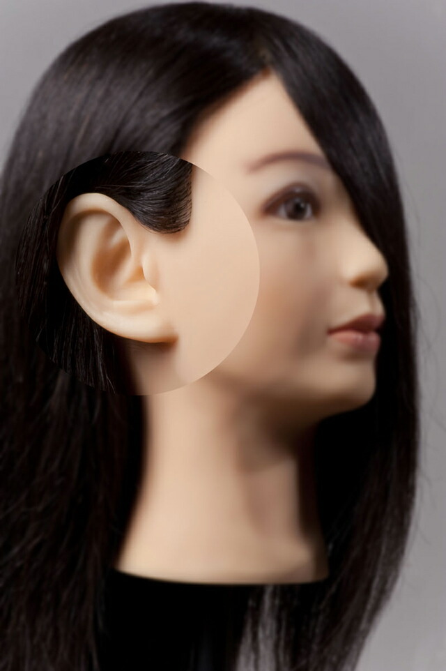 楽天市場】【送料無料】最高級 人毛100％ Cherry カットウィッグ 超