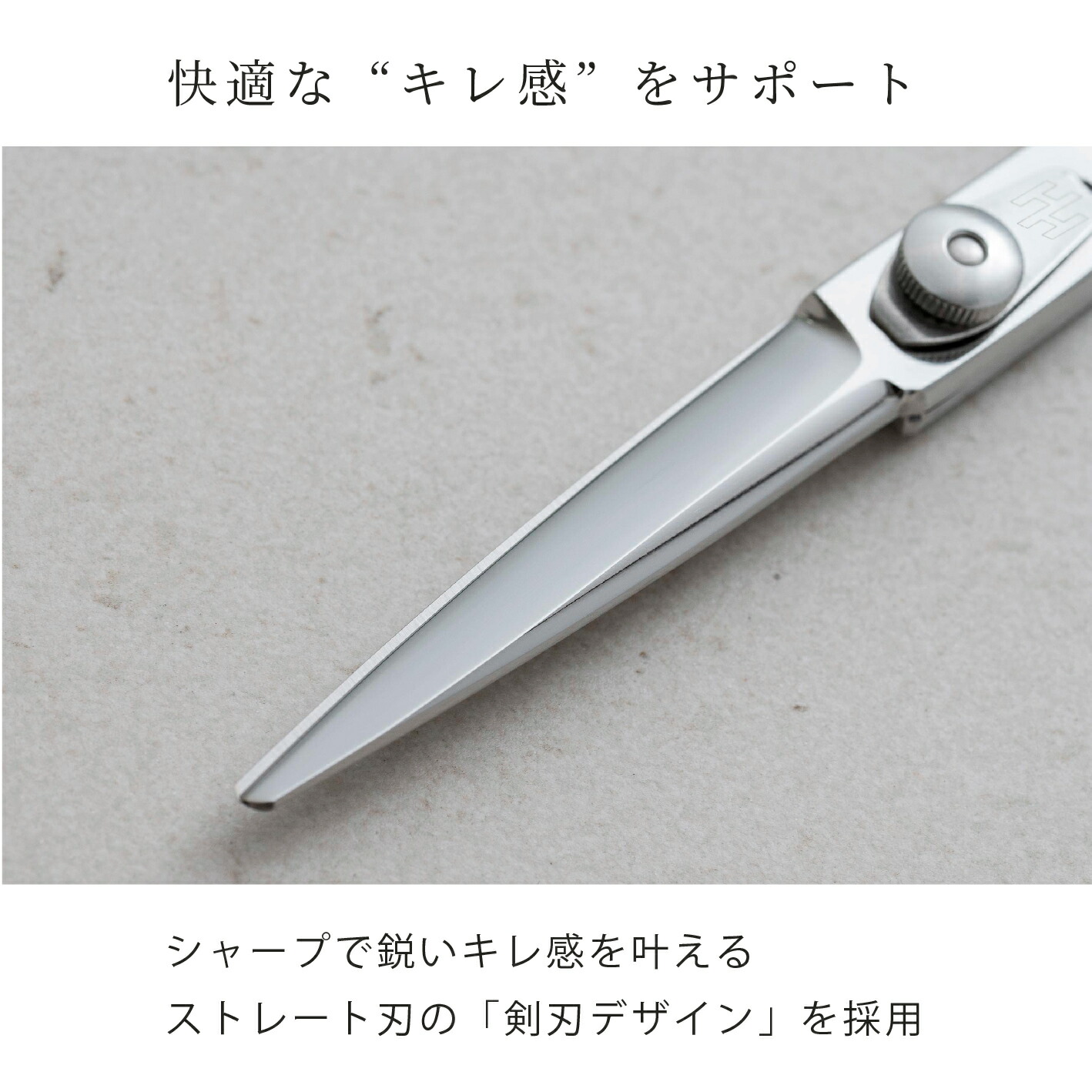 楽天市場】【完全プロ仕様】シルバープレート剣刃シザー 美容 理容