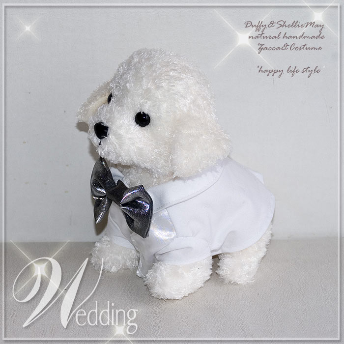 楽天市場】トイプードル白 ウエディング ウエルカムドール ペア
