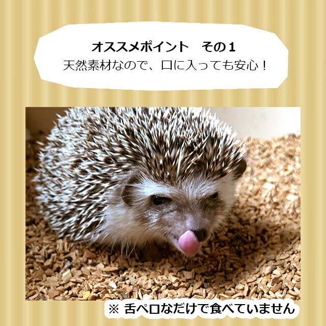 楽天市場】はりねずみんみん共和国 くるみリター・クルミリター 5