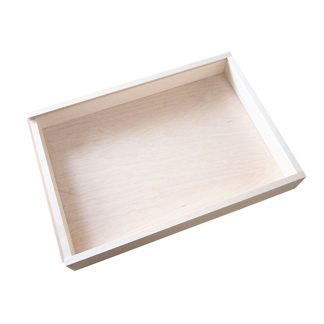 楽天市場】完成品 標本箱大 幅450×奥行320×高さ60mm ディスプレイ 自由