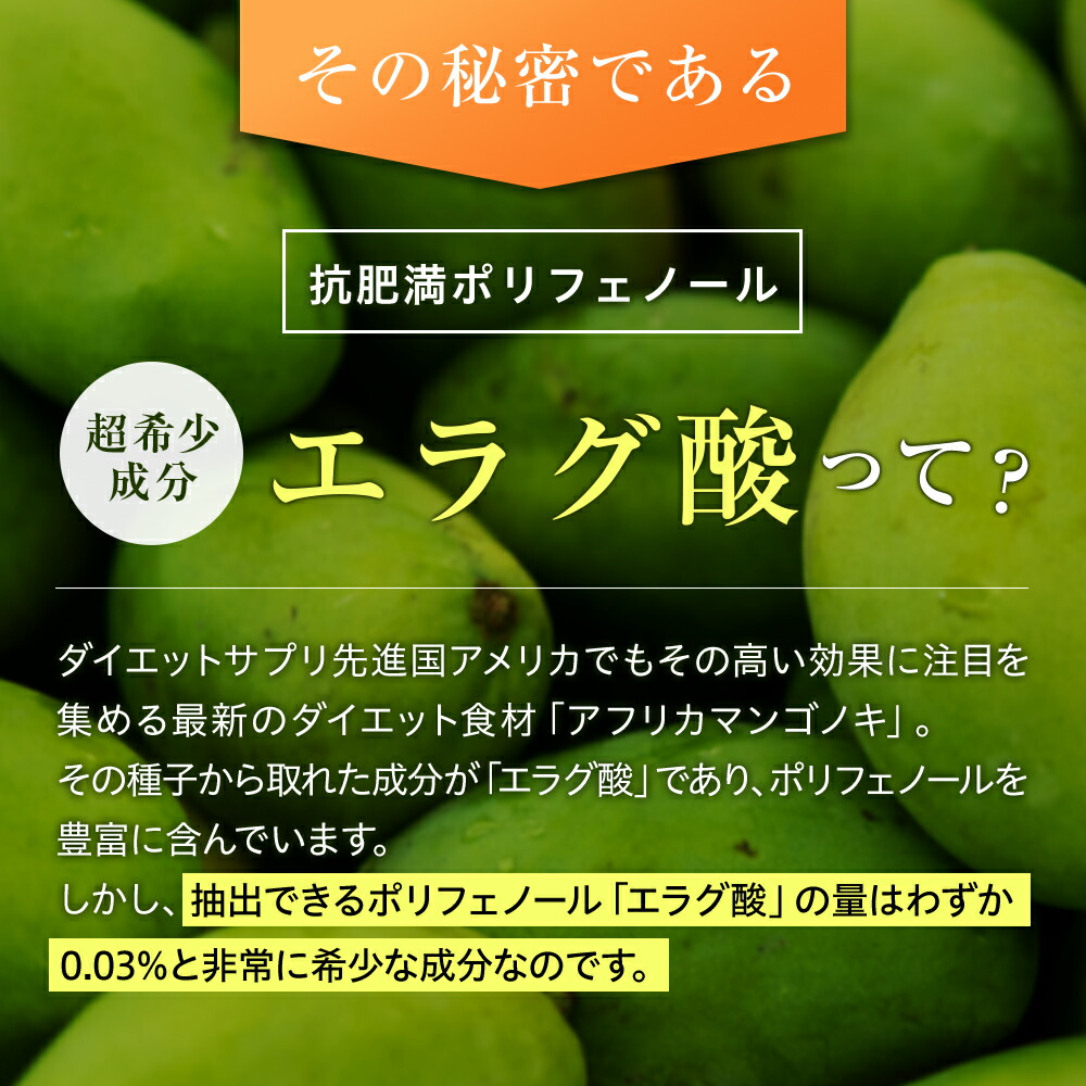 楽天市場】【期間限定50％OFFセール！】【楽天ランキング1位】 脂肪