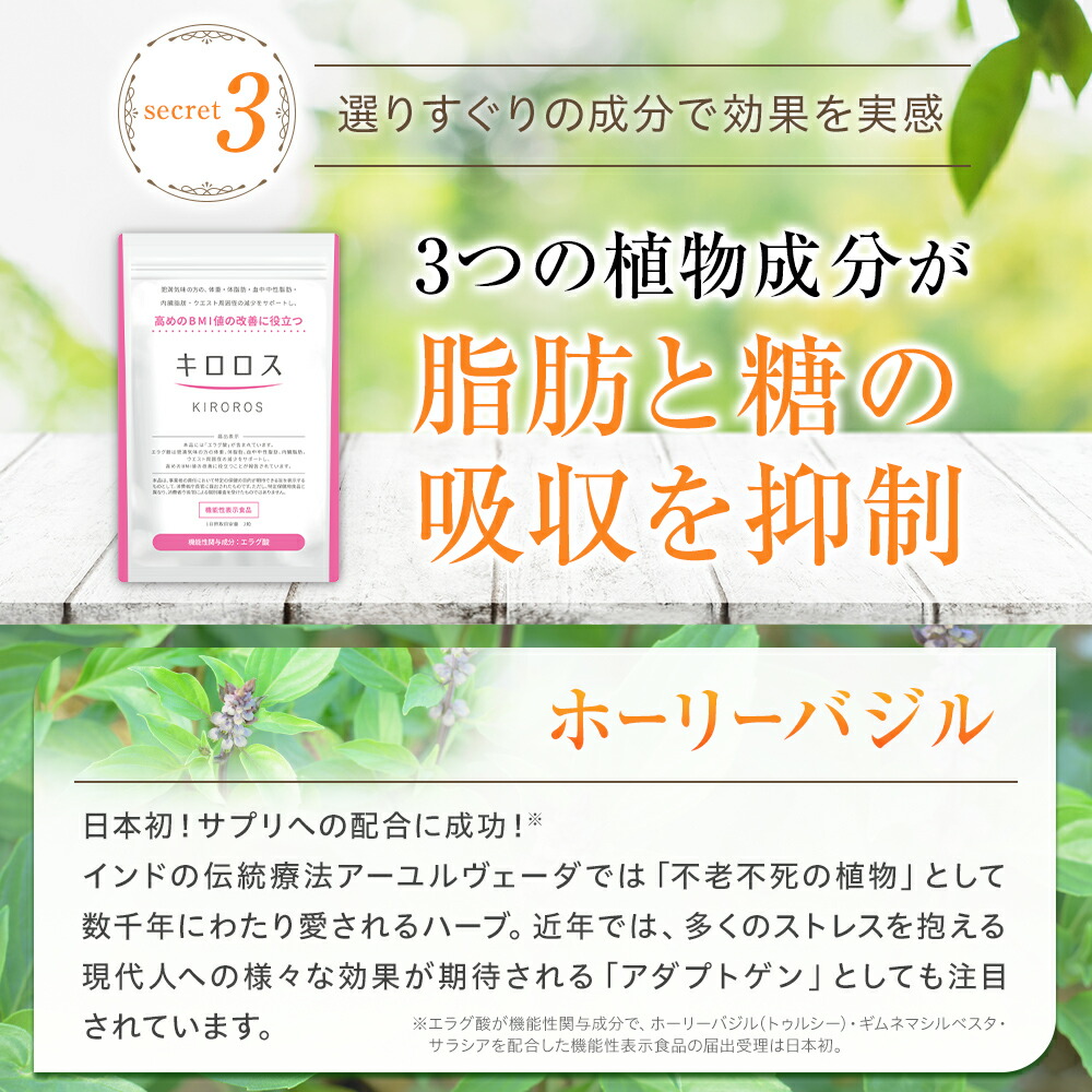 楽天市場】【期間限定50％OFFセール！】【楽天ランキング1位】 脂肪