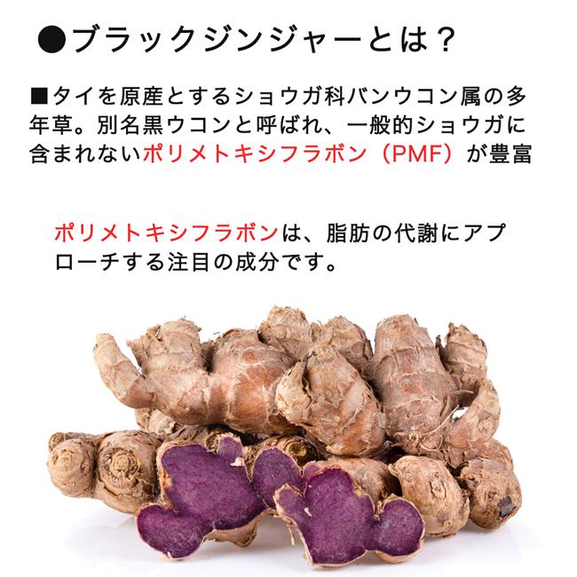 楽天市場】保阪流極 すらり生活 [機能性表示食品] 90粒 - 愛粧堂 [保阪