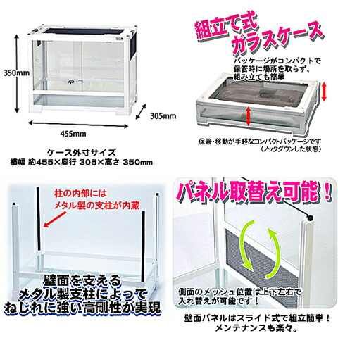 楽天市場】パンテオン ホワイト WH6035【一度のご注文で1個まで