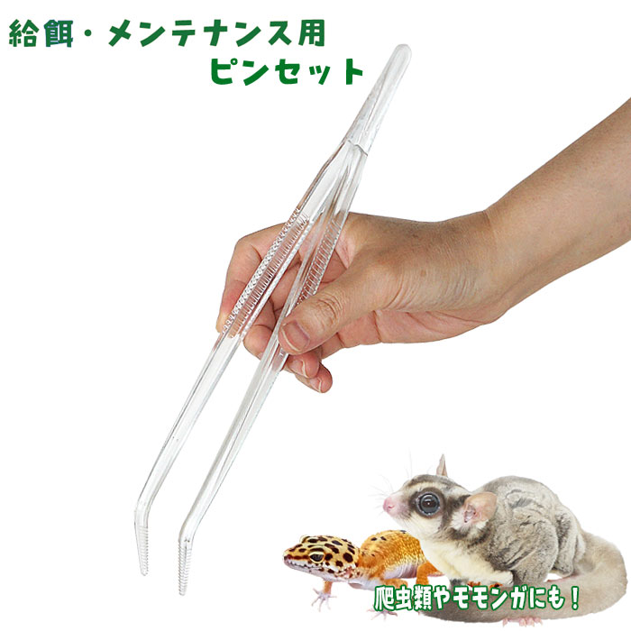 楽天市場】J.REP クリアピンセット : 小動物専門店ヘヴン