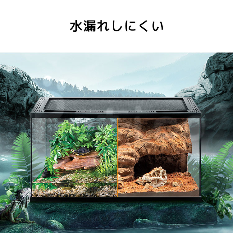 楽天市場】テラリウム 爬虫類 飼育 ケージ 両生類 カメ カニ グラス