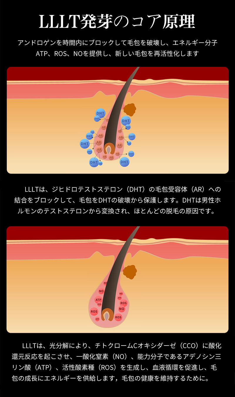 楽天市場】育毛キャップ 育毛システム81個 赤色 led 育毛 赤外線led