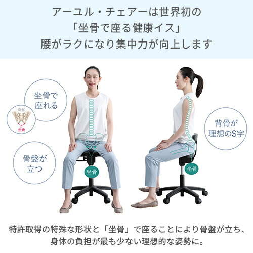 楽天市場】アーユル・チェアー メディカルシート 座椅子＆座面シート