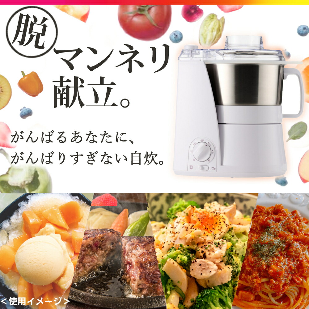 楽天市場】山本電気 フードプロセッサー マスターカットプラス 4点