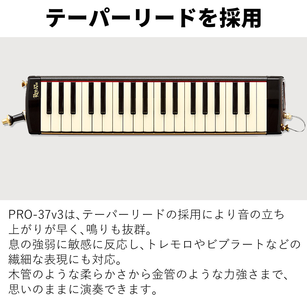 楽天市場】スズキ PRO-37v3 メロディオン 鍵盤ハーモニカ アルト 専用