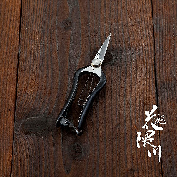 楽天市場】花隈川 芽切鋏 両刃 170mm (摘花 庭鋏 園芸 収穫 剪定 芽