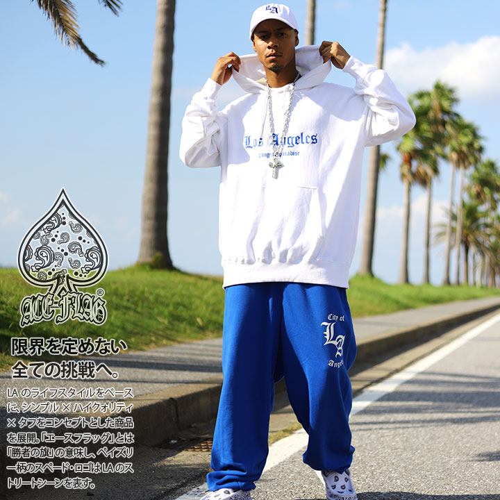 楽天市場】【60%OFF】ACE FLAG 上下セット 長袖 ブランド スケボー