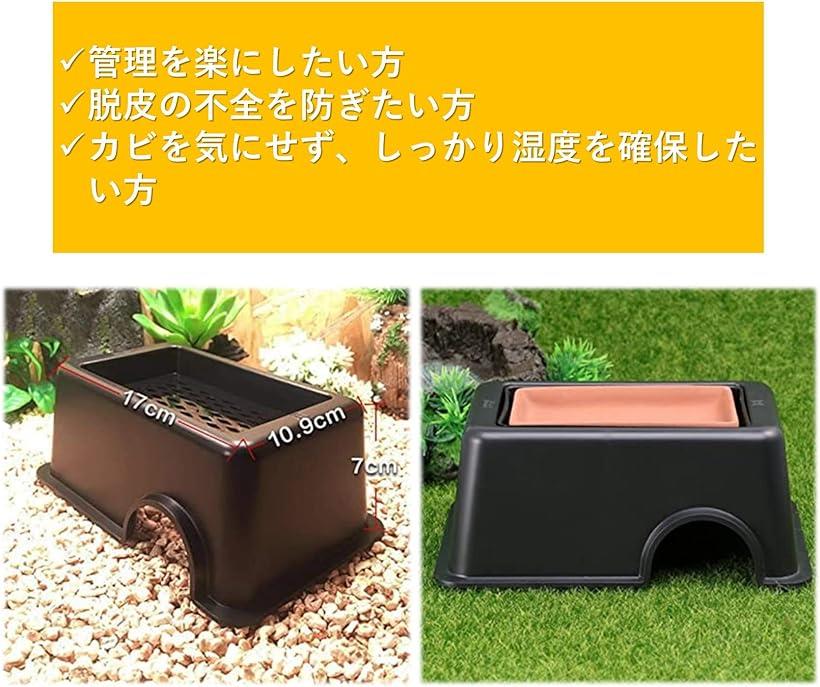 楽天市場】シェルター 爬虫類 2個セット 洞窟 ハイドロボックス 保湿