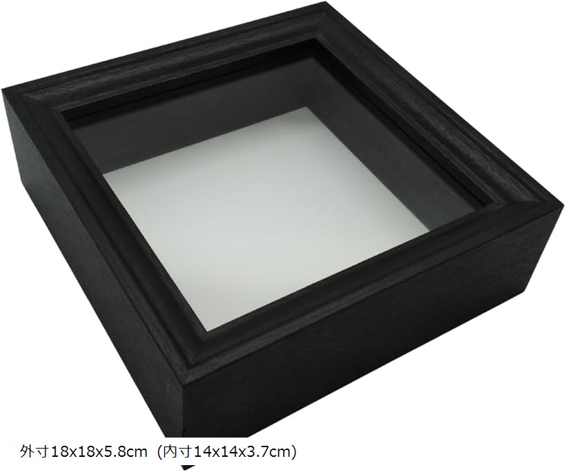 楽天市場】バードウィング製 ドイツ型標本箱 bw60(幅50.7×奥行き41.8