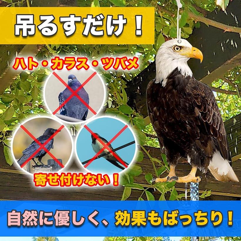 楽天市場】防鳥 鳥よけ リアル 鷹 鷲 鳶 鳥避けグッズ 鳩よけ カラスよ