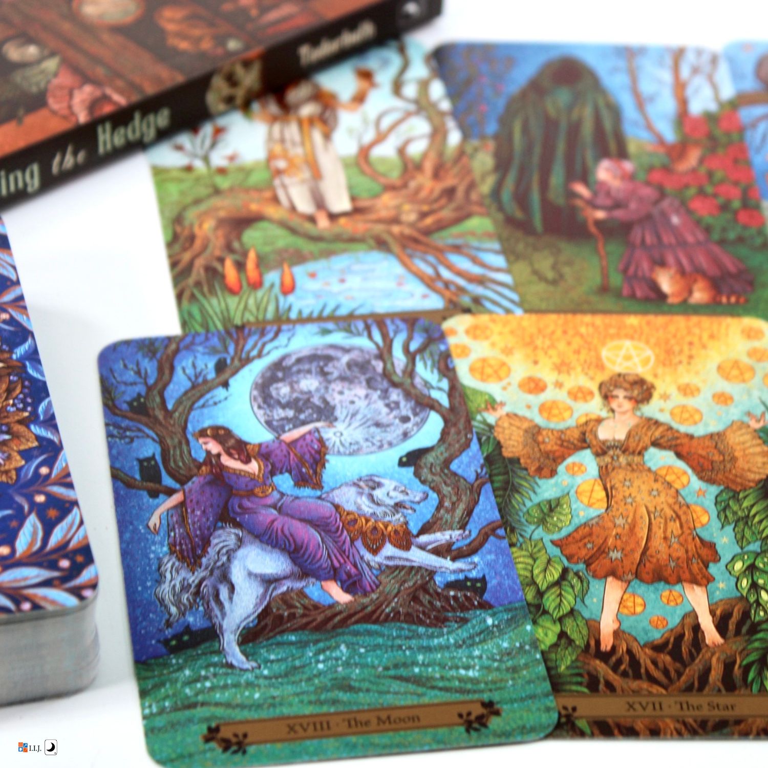楽天市場】ヘッジウィッチ・タロット The Hedgewitch Tarot タロット