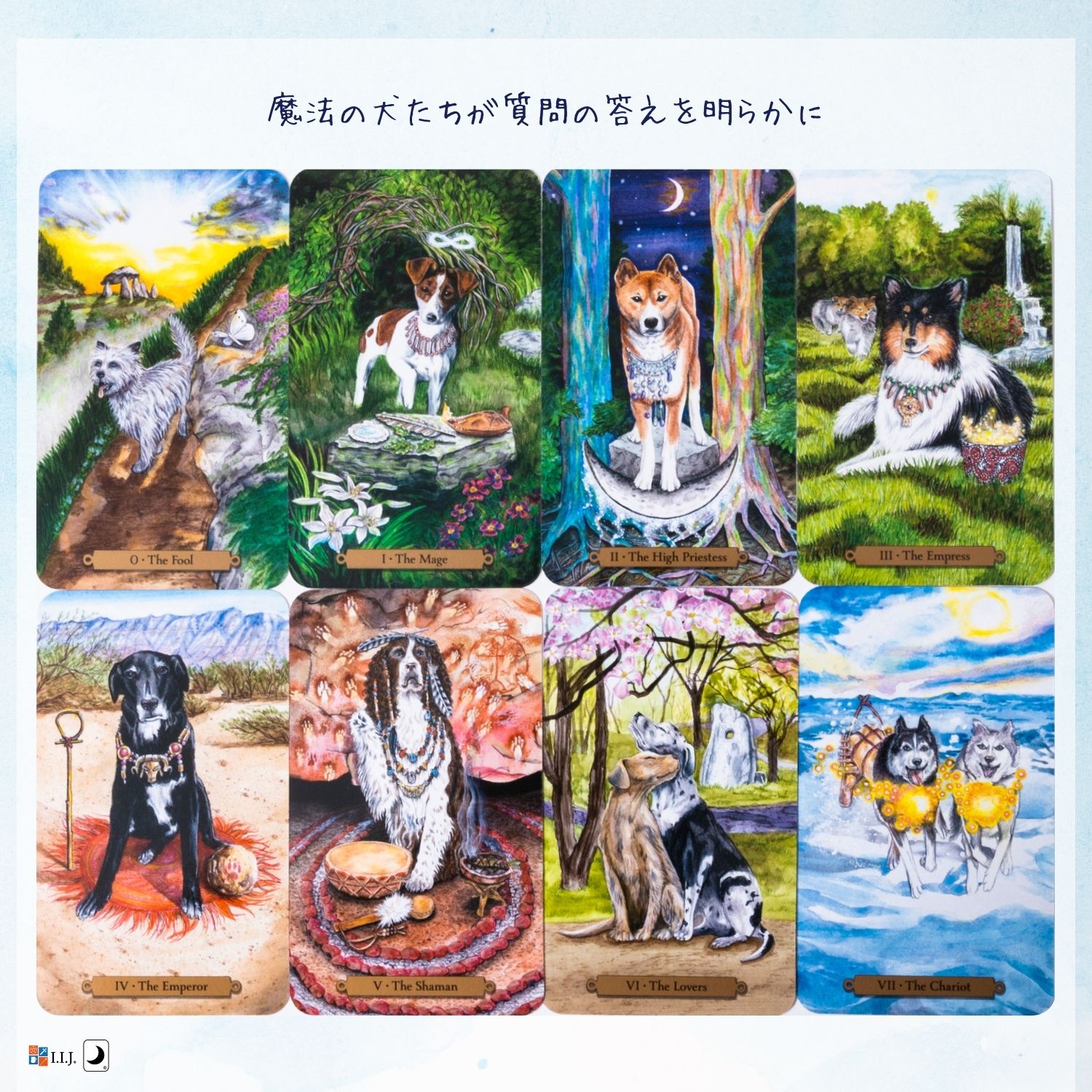 楽天市場】マジカル ドック タロット Magical Dogs Tarot タロット