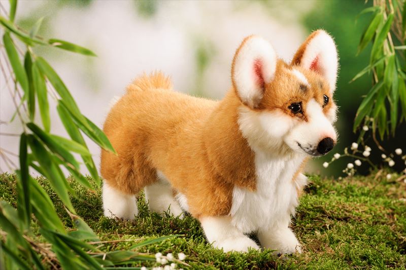 楽天市場】ケーセン ぬいぐるみ Kosen ウェルシュ・コーギー Sakura