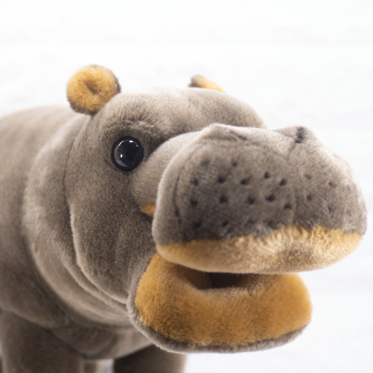 楽天市場】ケーセン ぬいぐるみ Kosen カバ (小) 40cm Hippo 【 かば