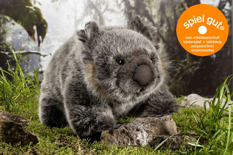 楽天市場】ケーセン ぬいぐるみ kosen ウォンバット 35cm WOMBAT