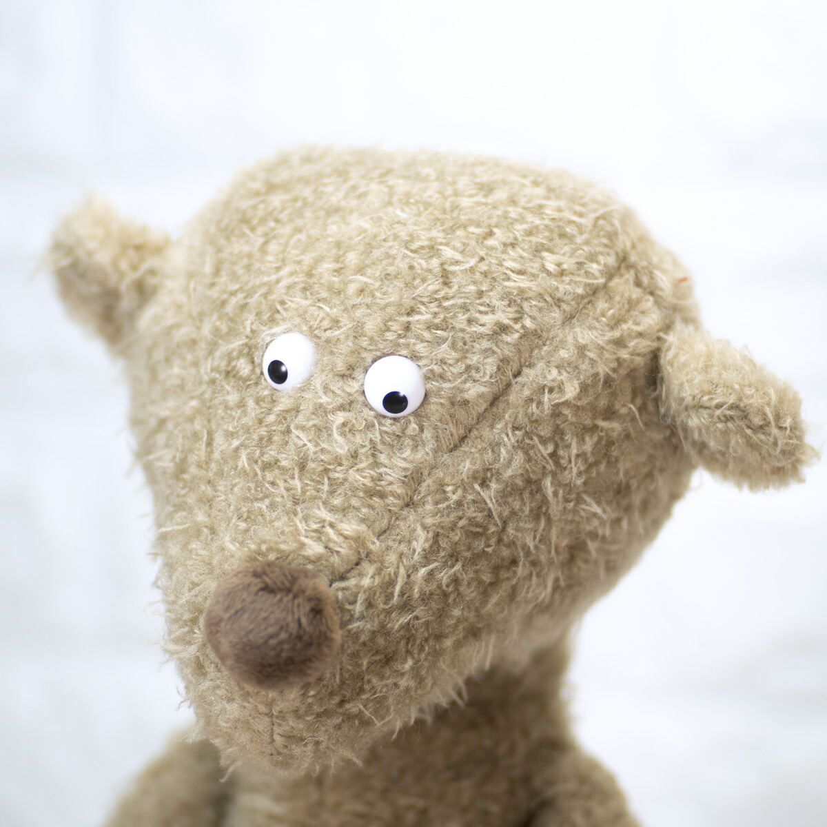 楽天市場】シギキッド Ach Good! ぬいぐるみ sigikid クマ ぬいぐるみ