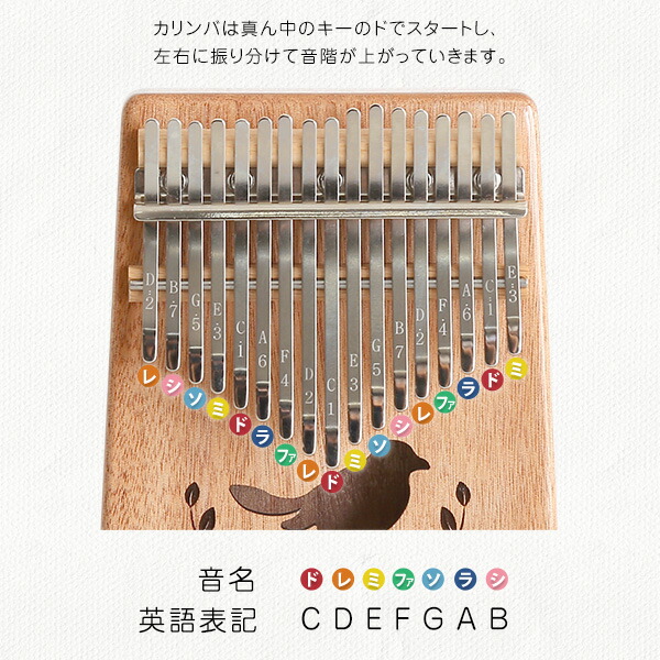楽天市場】カリンバ 初心者セット 17キー 絵柄付きタイプ 楽譜付き