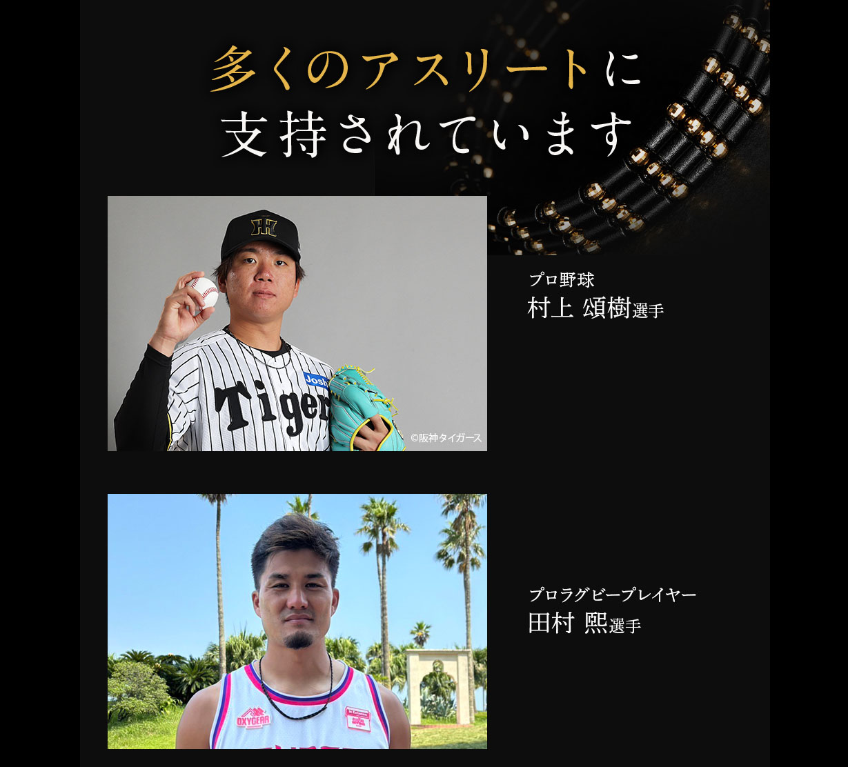 楽天市場】COREFORCE コアフォース ボディクリーム II 体幹 バランス