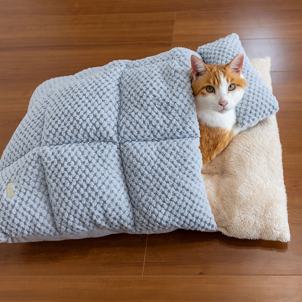 楽天市場】【 犬 ベッド 】IDOG&ICAT iDog fleur おやすみお布団 アイ