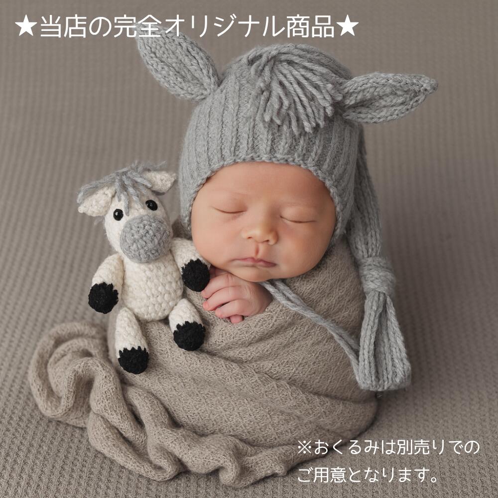 楽天市場】☆楽天1位☆ 2026年 干支 午年 ニューボーンフォト セット