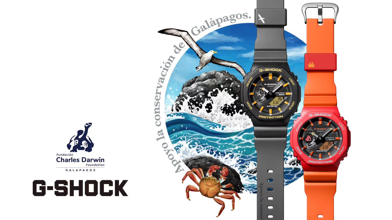 楽天市場 | 時計・ブランド専門店 アイゲット - ガラパゴス諸島の