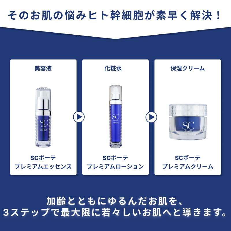 楽天市場】SCボーテ プレミアム クリーム 250g (ヒト幹細胞培養液