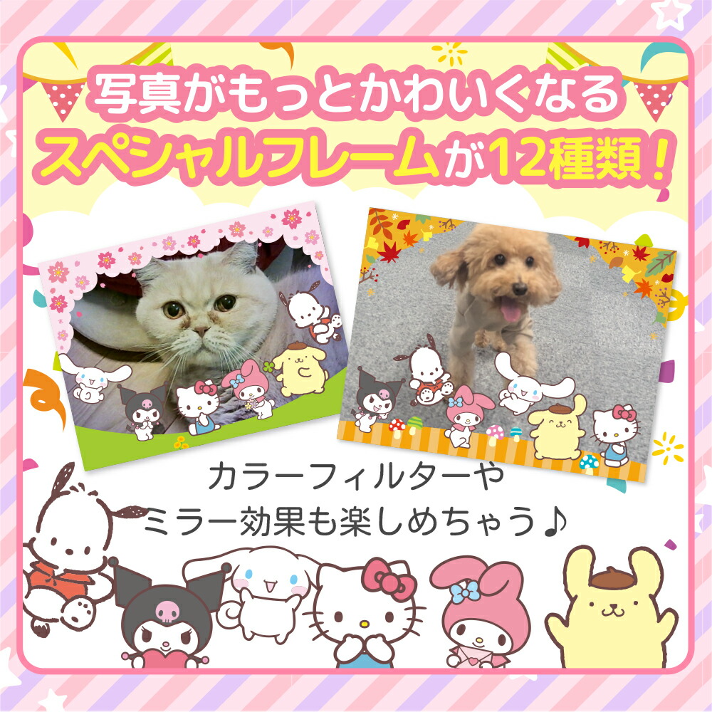 楽天市場】キッズカメラ ピントキッズ サンリオキャラクターズ コラボ