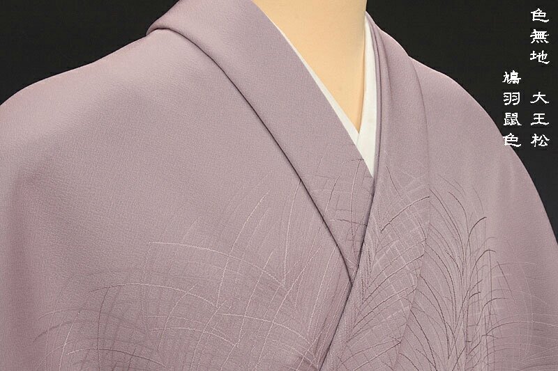 楽天市場】色無地 紋意匠 付下げ柄 大王松文 鳩羽鼠【反物1反・胴裏1枚