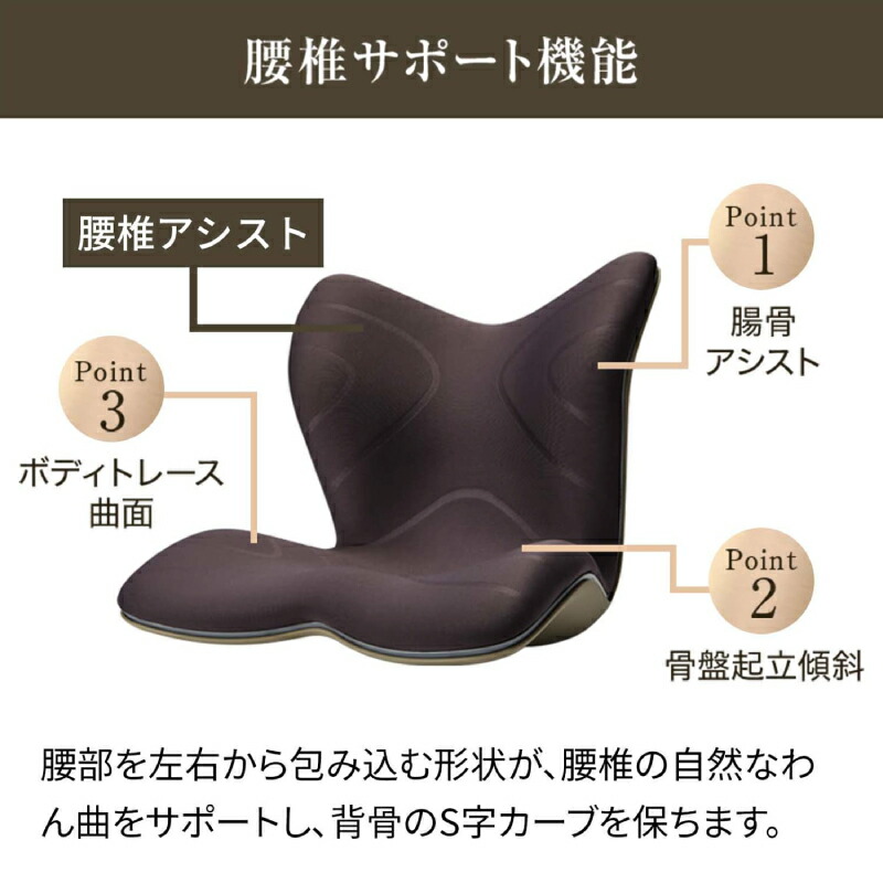 MTG Styleボディメイクシート姿勢矯正ブラウン、グレー2点セット MTG