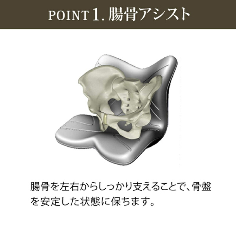 楽天市場】姿勢ケアシート スタイル プレミアム MTG Style PREMIUM