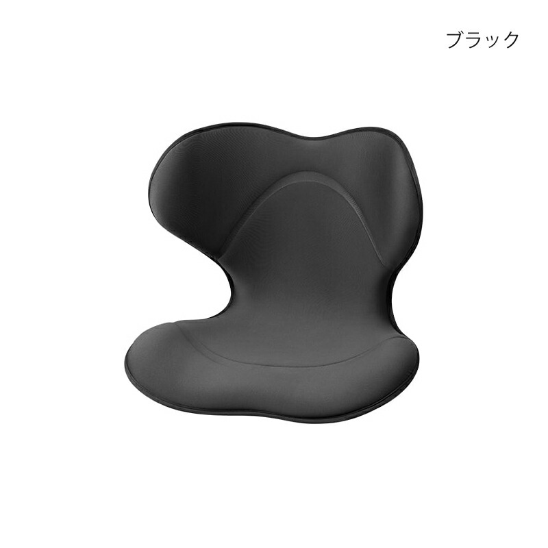 楽天市場】姿勢ケアシート スタイル スマート MTG Style SMART 骨盤