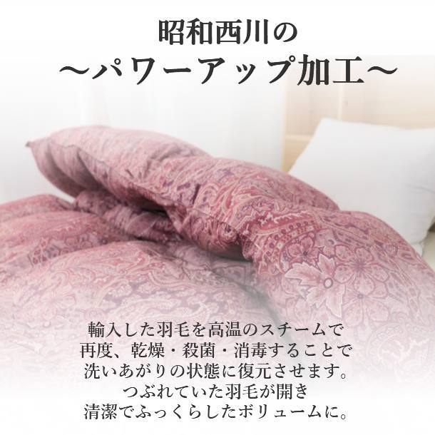 楽天市場】寝具【☆新生活応援クーポン配布中☆】西川 羽毛布団 マザー