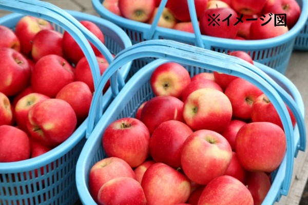 楽天市場】青森のりんご 280ml×24本／JAアオレンメーカー直営店【送料