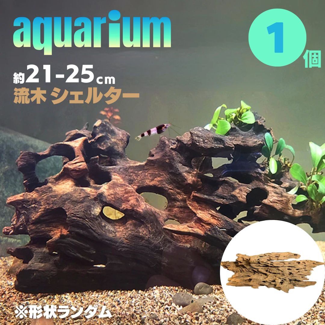 楽天市場】気楽 アクアリウム 流木 穴あき小魚シェルター 1個 形状お