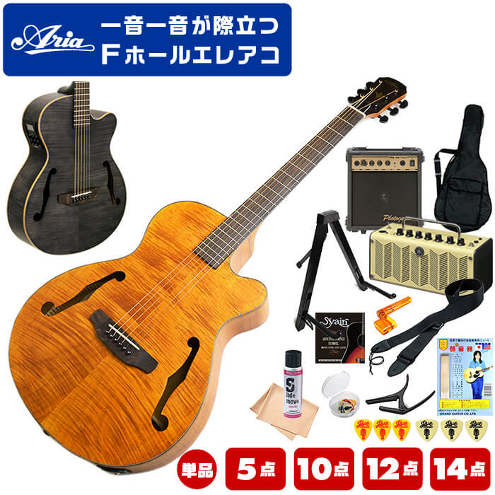 楽天市場】ギターケース アコースティック (ABS ハードケース ドレッド