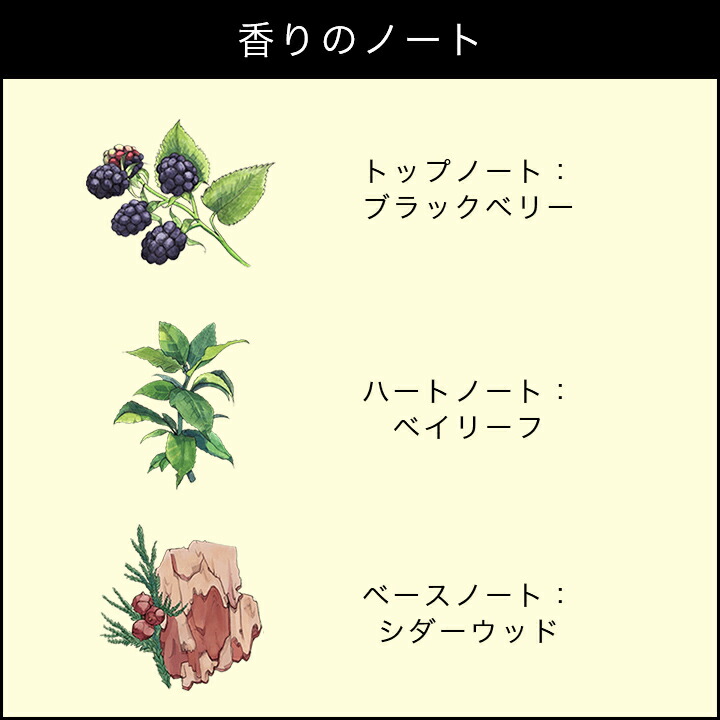 楽天市場】公式｜ジョー マローン ロンドン コロン コレクション 9mLx5